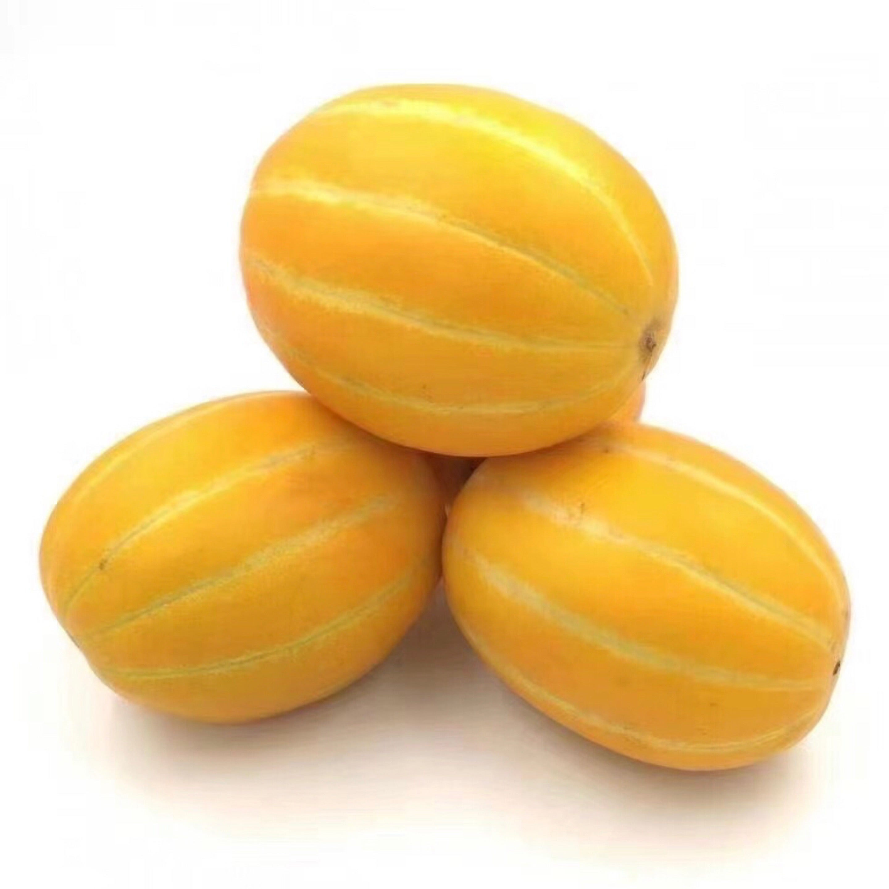 Melon | 韩国香瓜一箱| Huizhong Trade Co