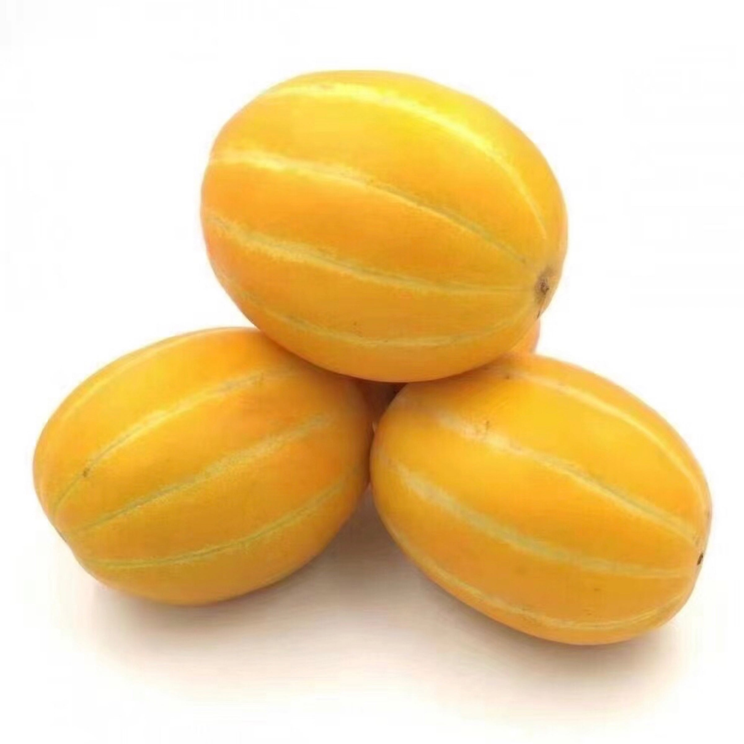 Melon | 韩国香瓜一箱| Huizhong Trade Co